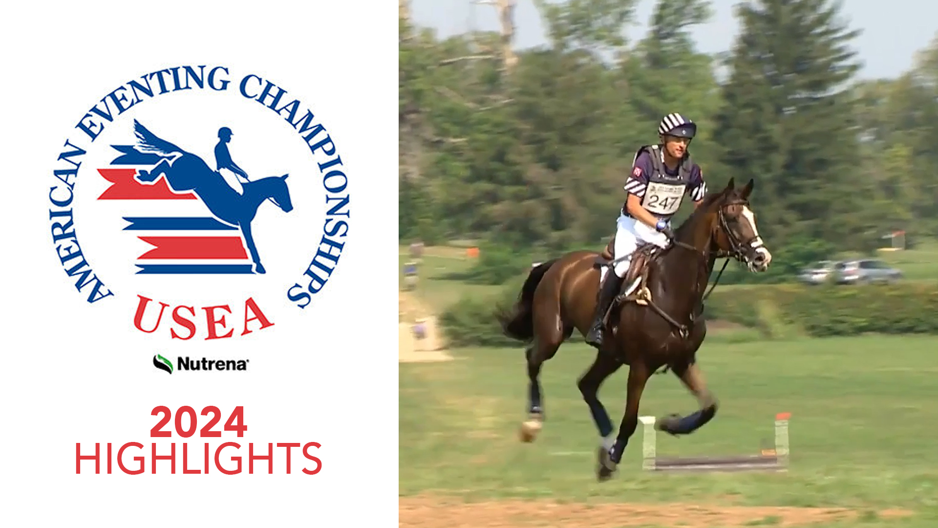 American Eventing Championships 2024 Highlights