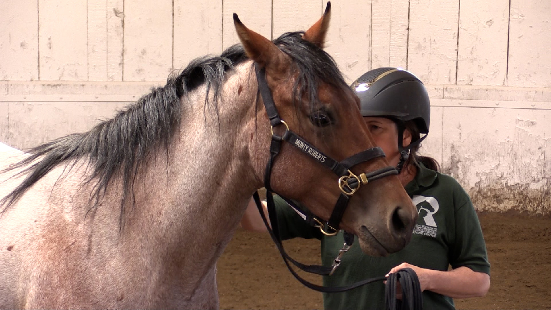 Backstage Pass with Monty Roberts